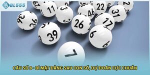 Cầu Số 8 - Bí Mật Đằng Sau Con Số, Dự Đoán Cực Chuẩn 