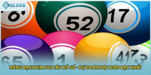 Rồng Bạch Kim Soi Cầu Xổ Số - Dự Đoán Độc Đáo Bậc Nhất