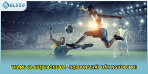 Trang Cá Cược Bóng Đá - Nội Dung Hấp Dẫn Người Chơi